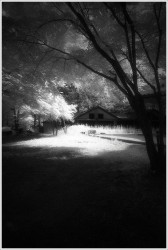 dailyPhoto27